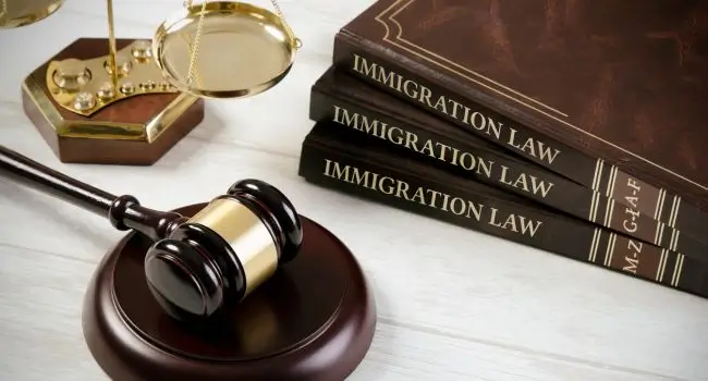 Books on Immigration Law and gavel