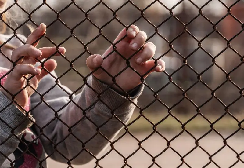 Child's hands holding onto a metal mesh fence